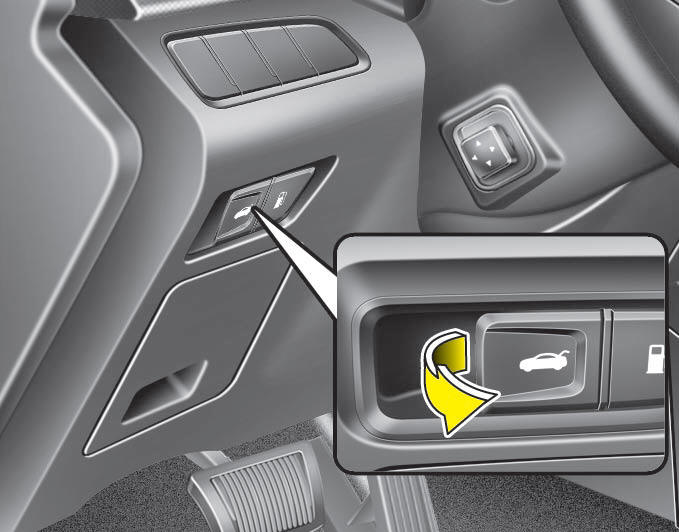 Hyundai Azera Opening the trunk Trunk Features of your vehicle