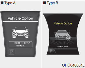 1. When the vehicle is at a standstill, press the DISP button until the "User