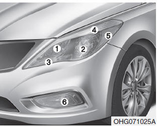 (1) Headlight (High) / DRL (Daytime running light)