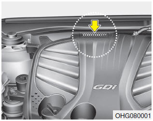 The vehicle identification number (VIN) is the number used in registering your