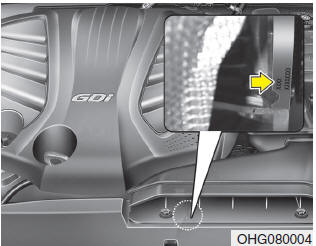 The engine number is stamped on the engine block as shown in the drawing.